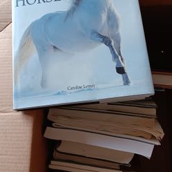 Box Of Horse/Equine Related Books (16)