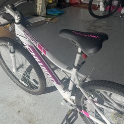 Women’s Schwinn 26 Inch Ranger Mountain Bike