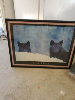 Framed Wolf Print