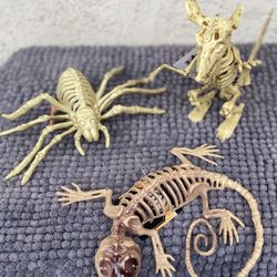 Halloween Skeleton Animals.