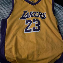 Lebron James Los Angeles Lakers Jersey 