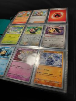 100pg Bulk Binder - Modern Bulk - Pokemon TCG