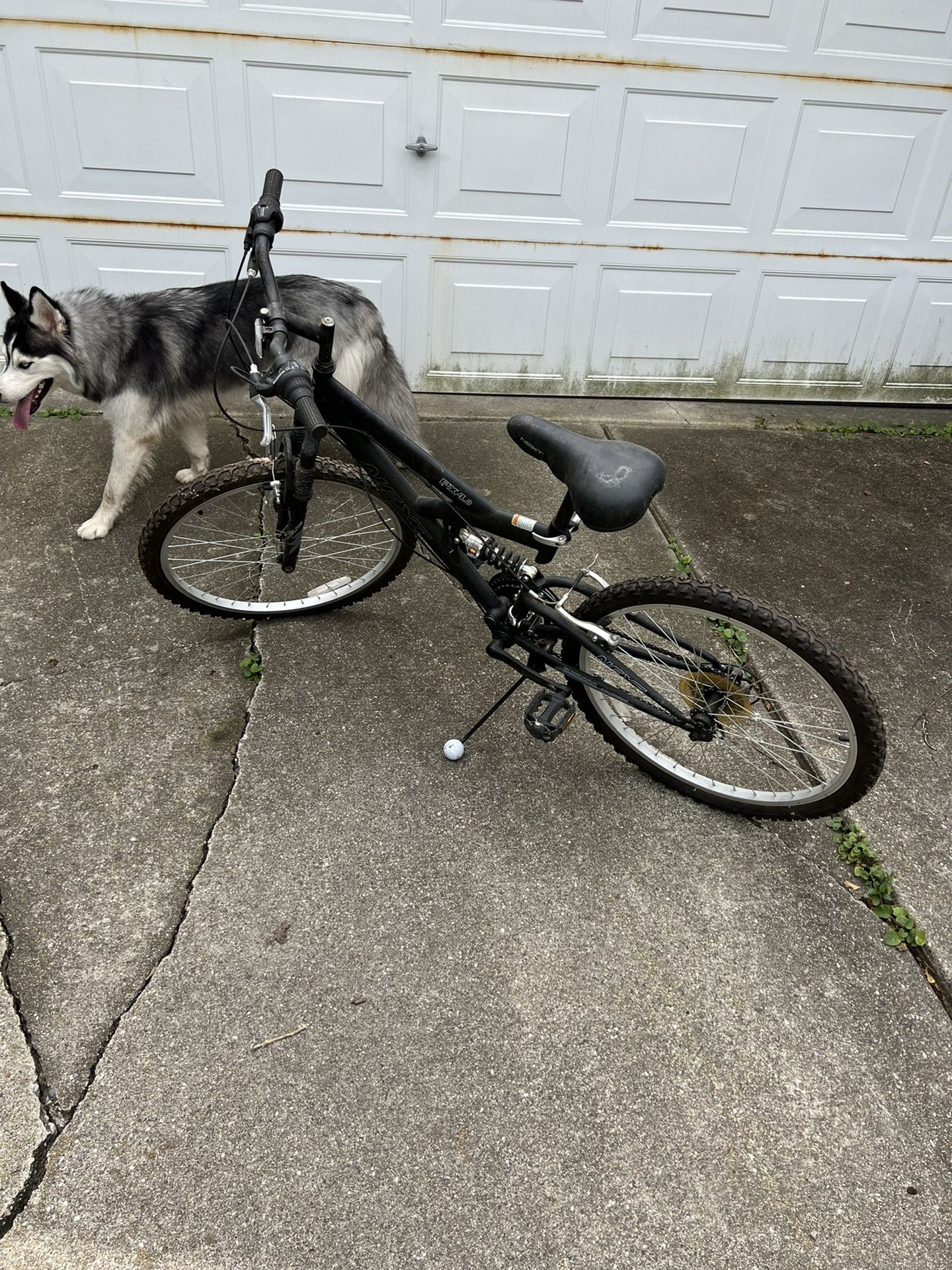Walmart Mountain Bike