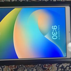 Apple iPad 6th Generation Unlocked Like New!