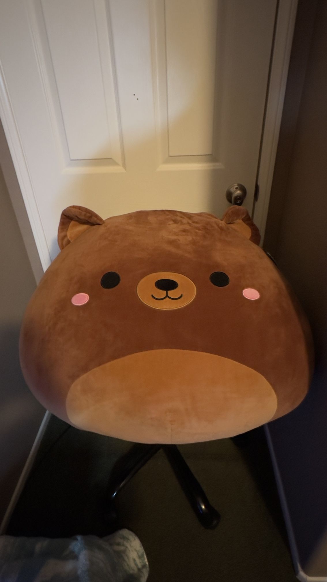 Omar the Bear Squishmallow – 24inch