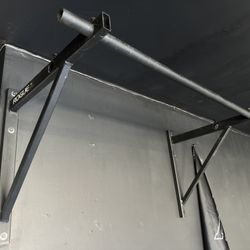 Rogue Fitness Pull-up Bar