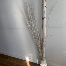 Neutral Plant With Vase