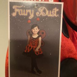 Halloween Costume- Ladybug-3T Brand New 