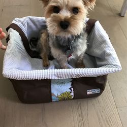 Kurgo Pet Car Booster Seat Carrier