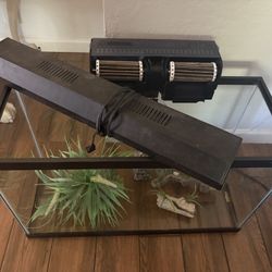 Fish Tank For Sale