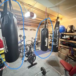Bulls Professional Heavy Bags