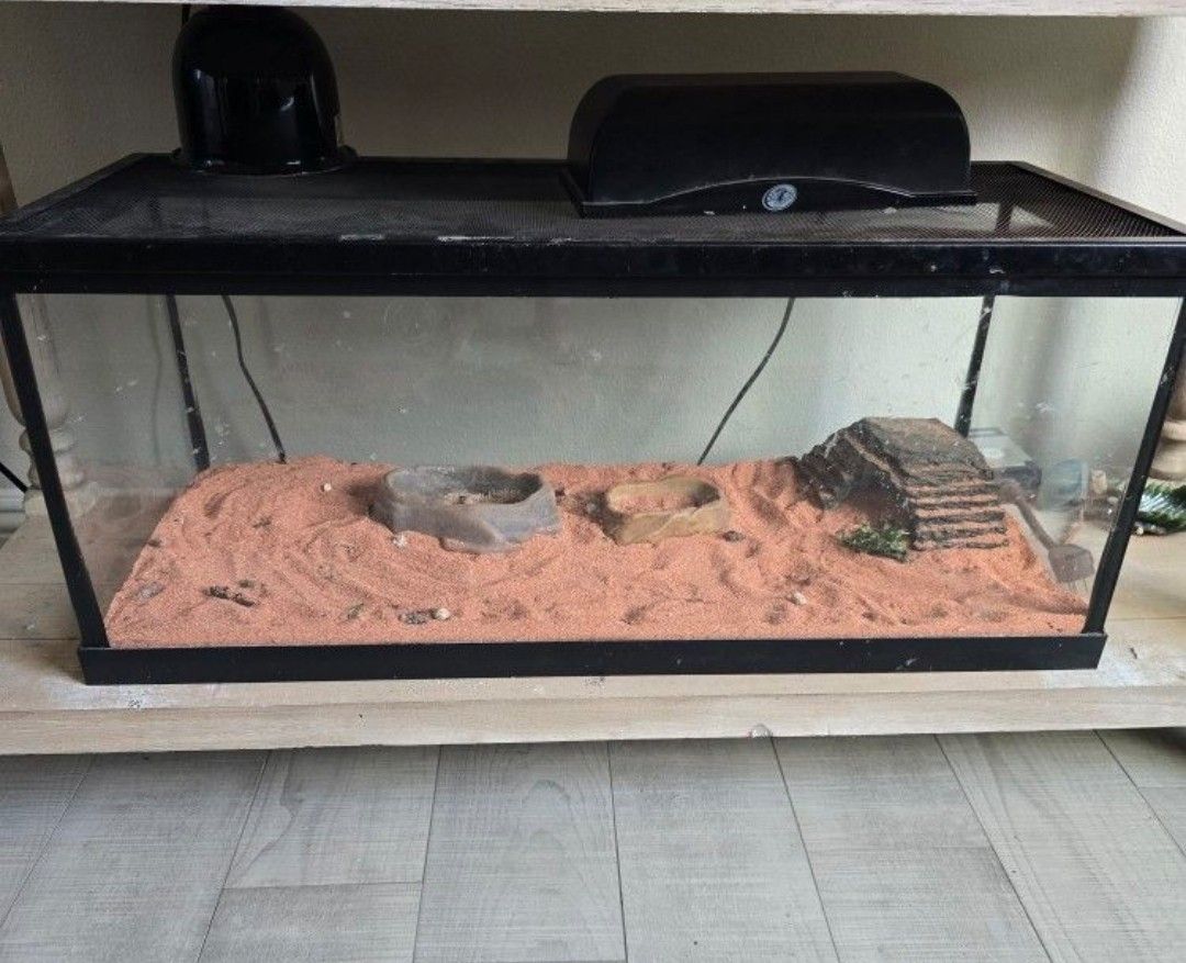 20 Gallon Tank With Feeding Bowls, Lights