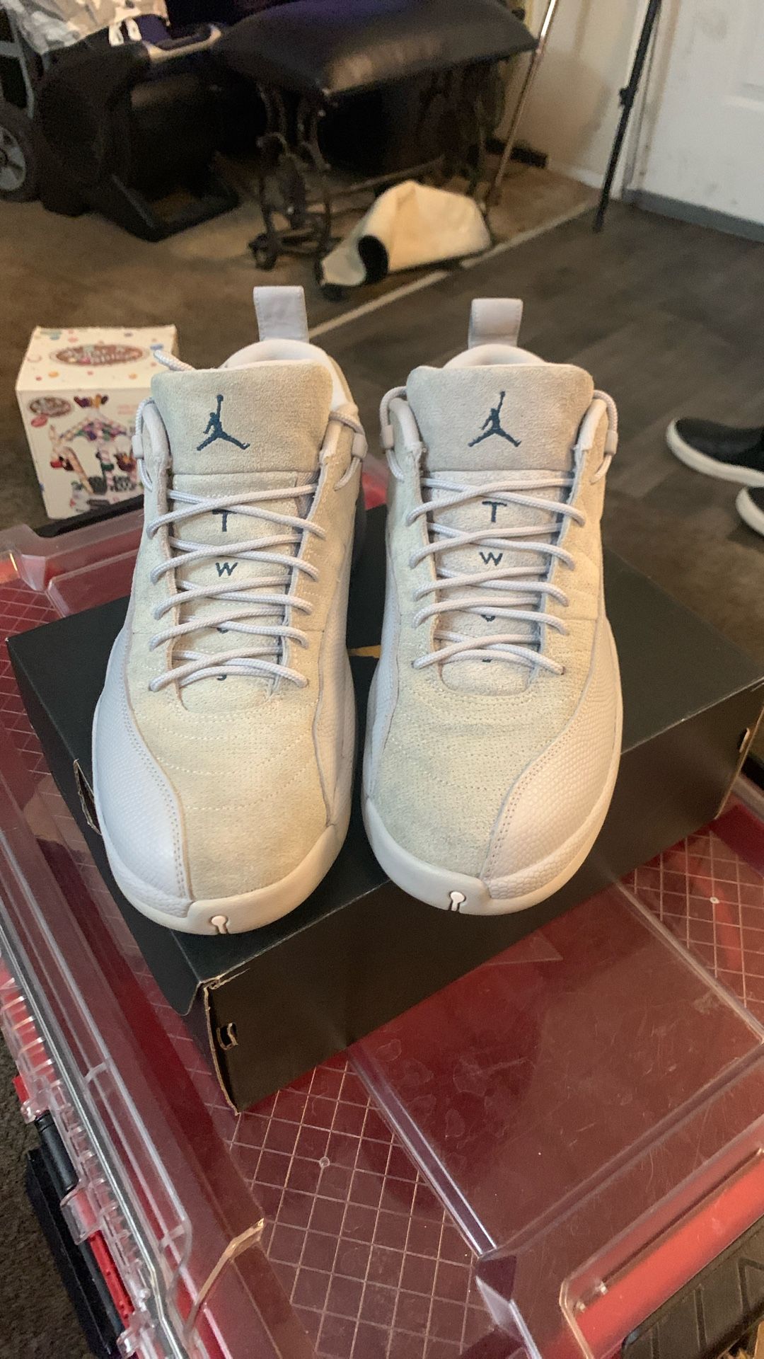 Air Jordan 12 Wolf Grey (low top) RARE
