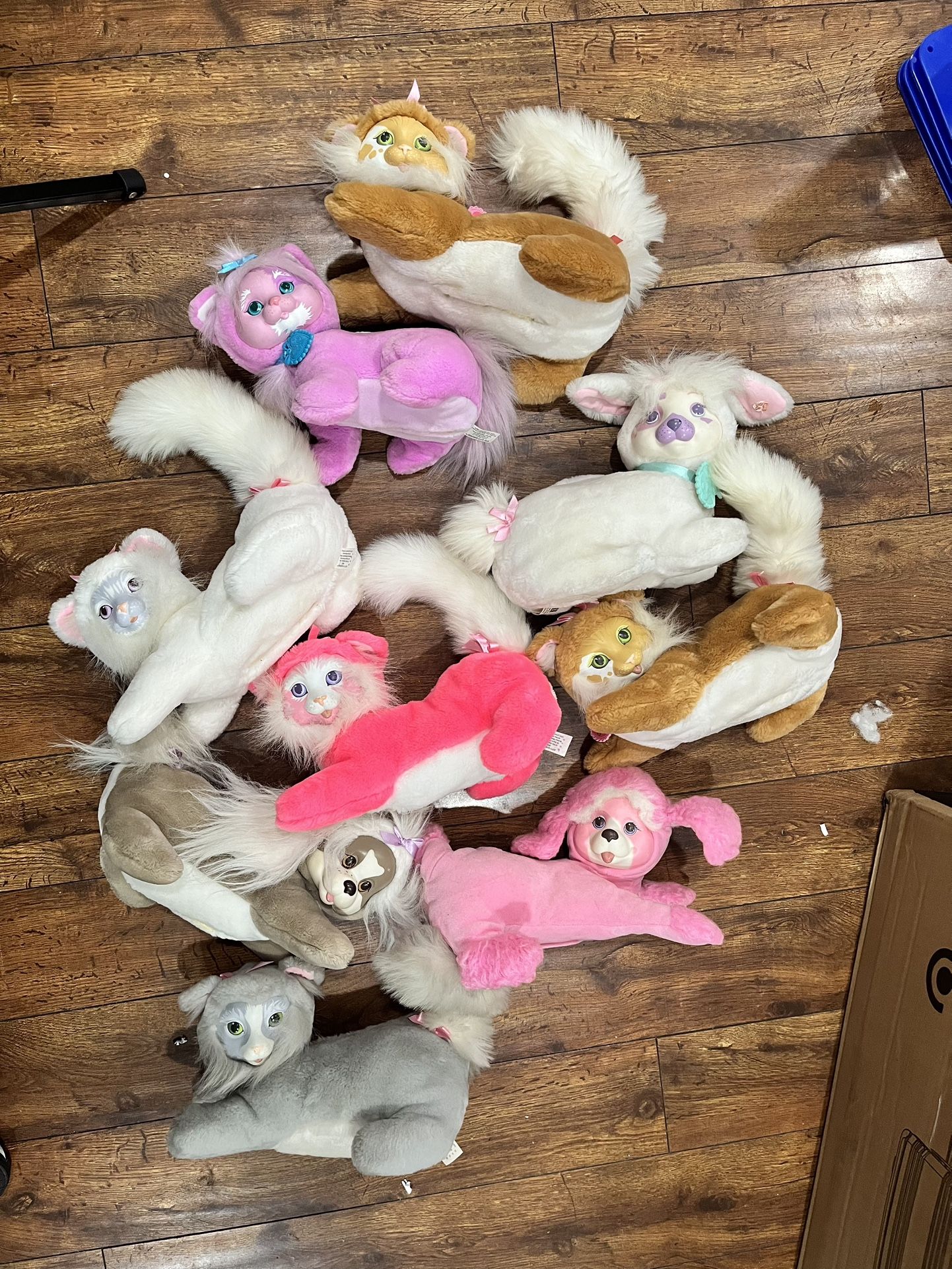 Surprise Toy Puppy Surprise Cat Just Play Kitty Surprise 42050