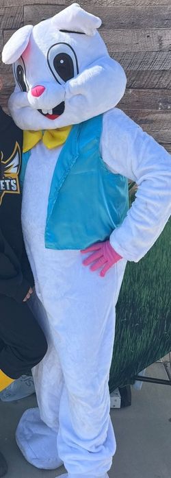 Free!! Easter bunny costume