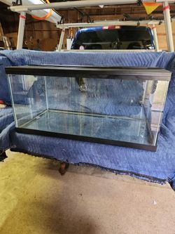 Terrarium w/hinged metal mesh topper
