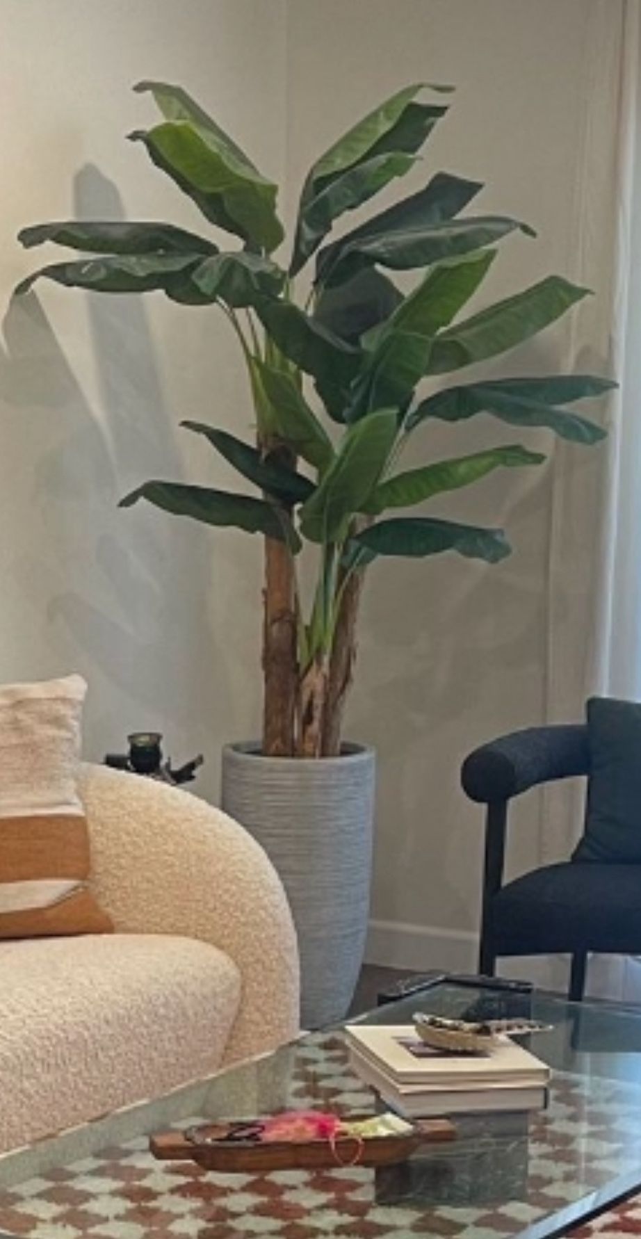 6.5 Ft Tall Artificial Banana Tree With Gray Planter