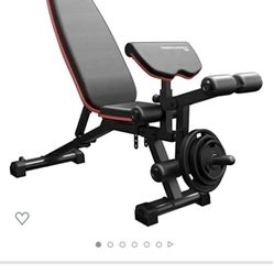 Haister Weight Bench