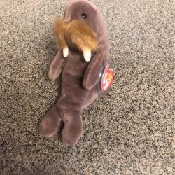 Beanie Baby: Jolly The Walrus