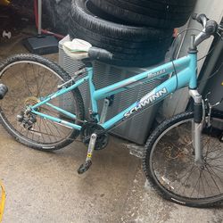 Schwinn Bike