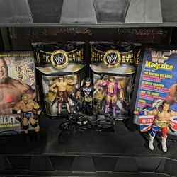 WWE action figures & magazines