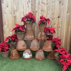 26 Pieces Of Terracotta Big Pots For Only 5 Dollars Each One 