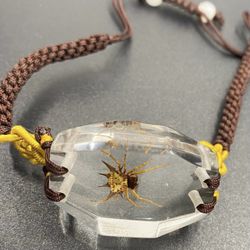 Spider Preserved in Acrylic Bracelet 