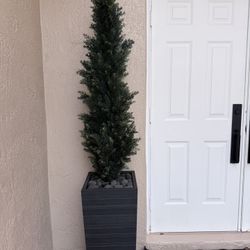 Crate and Barrel Tall Planters 