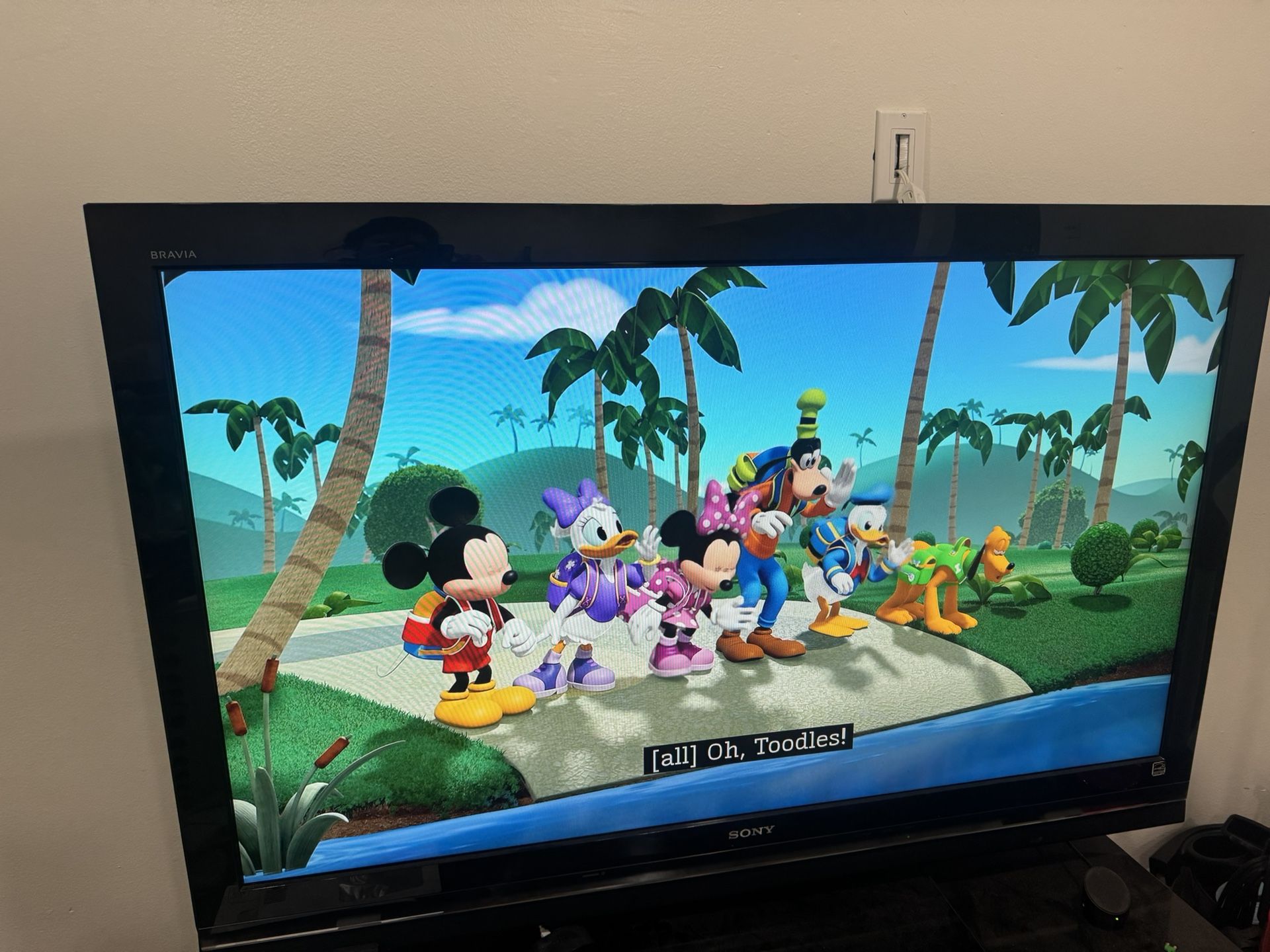 50” Sony Tv