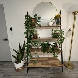 Leaning Ladder Shelf 