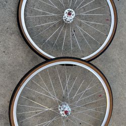700c Novatec Ecologix wheels