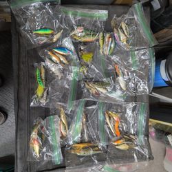 Assorted Fishing Lures