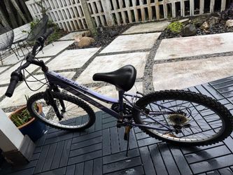 Huffy Rock Creek Mountain Girls 20” Bike