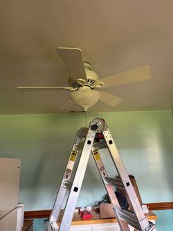Free Hunter Fan
