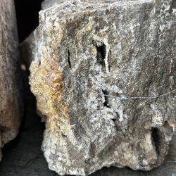 Petrified wood pieces!! Gemstone quality !!