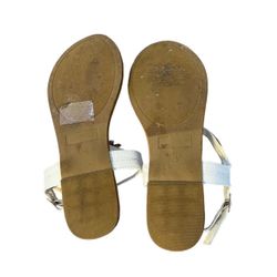 Trendsup store collection sandals