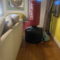 Punching Bag Like New