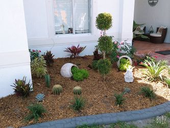 Lawn Maintenance