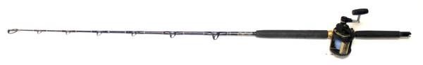 Shimano TLD-2 Speed 30 & Custom Deep Sea Fishing Rod