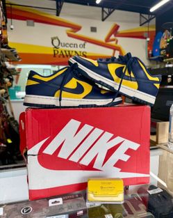 Nike Michigan Dunks