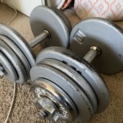 Adjustable Dumbbells 55.5lbs Set