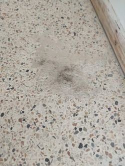 Before and After Floor Restoration