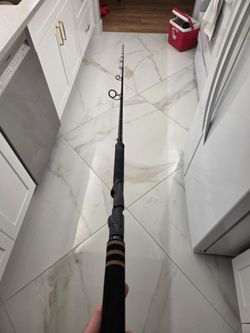 Fishing rod (spinning )