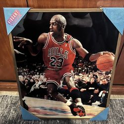 Michael Jordan Chicago Bulls #23 Basketball Glass Framed Wall Art 16x20 NBA Display