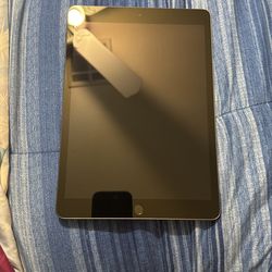 iPad 9th Generation 256GB