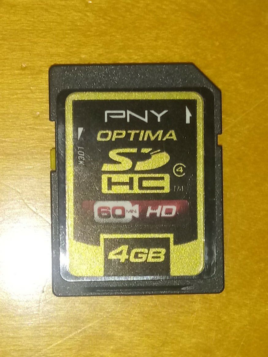 Two 4GB SD Cards