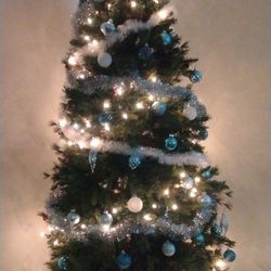 $50 O.B.O Christmas Tree With Decorations 