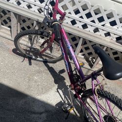 Bicicleta