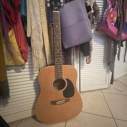 Maestro acoustic Guitar 