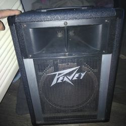 Peavey - 110H
